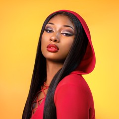 Megan Thee Stallion - B.I.T.C.H. (Beat Ninja Remix)