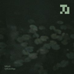 Idéző - Unkavölgy [TLS006]