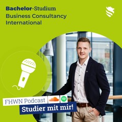 Studier' mit mir – Business Consultancy International (Bachelor) | Julian Staudinger