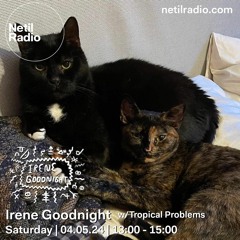 Tropical Problems @netilradio May 24