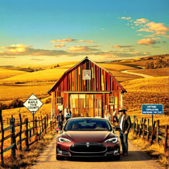 City Problems (In My Country Town)