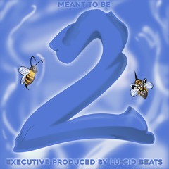Meant to Be 2