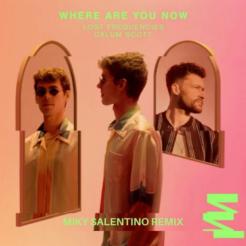 Lost Frequencies, Calum Scott - Where Are You Now(Miky Salentino Remix)
