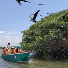 Manglares de Tumbes