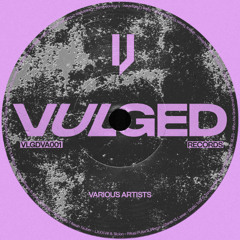 PREMIERE: Tièmoko Koné - Taylor's Mistake [VLGDVA001]