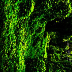 "Zuzu Kudzu" *SoundCloud Exclusive*