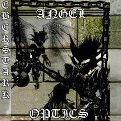 ANGEL OPTICS