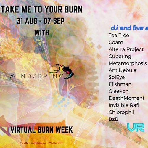 Virtual Burn DJ Set 2020 @ Mindspring Music Stage