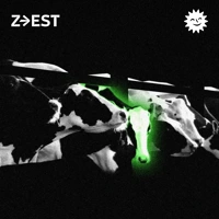 Soundcloud podcast image for Zootroupe - « Cow » La vache, au cinéma  