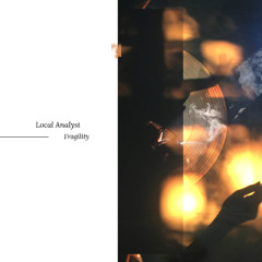 Local Analyst - Fragility Is Beautiful