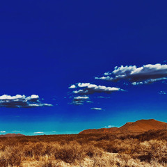 Self-Regulation Loop (Rule #4)