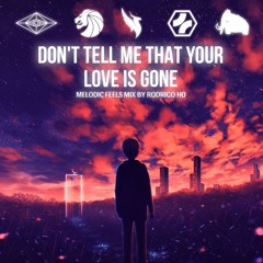 Don't Tell Me That Your Love Is Gone | Melodic Feels Mix Ft. Slander, Illenium, Wooli & Friends.