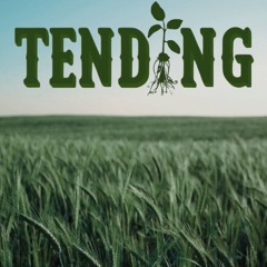 GRAVY TENDING EP 2 MSTR 1