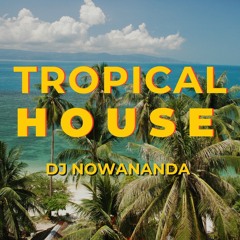 Tropical House 🌴 ft. Claptone, Groove Armada, Quantic | Pool Party vibes