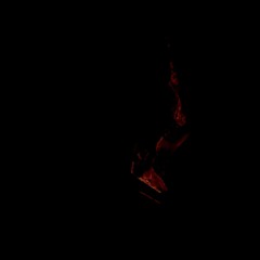 Sep_8_24 | Tuned_Engine_Car_Drive_BPM - N_A
