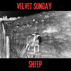 Sheep (Single)