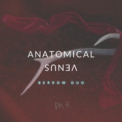 Anatomical Venus