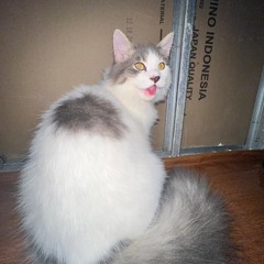 ROHAKU ( BW X RIZKA ) #SUPER DUPER VVIP EXPRES!!!