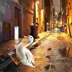 quack on crack