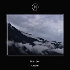 Oren Levi - Hit & Done (SNIPPET)