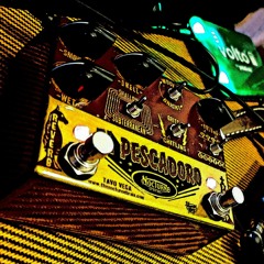 Dm Blues - Harmonica 'El Pescadoro'