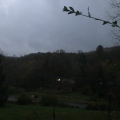 bled dry
