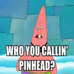 Who You Callin' Pinhead?