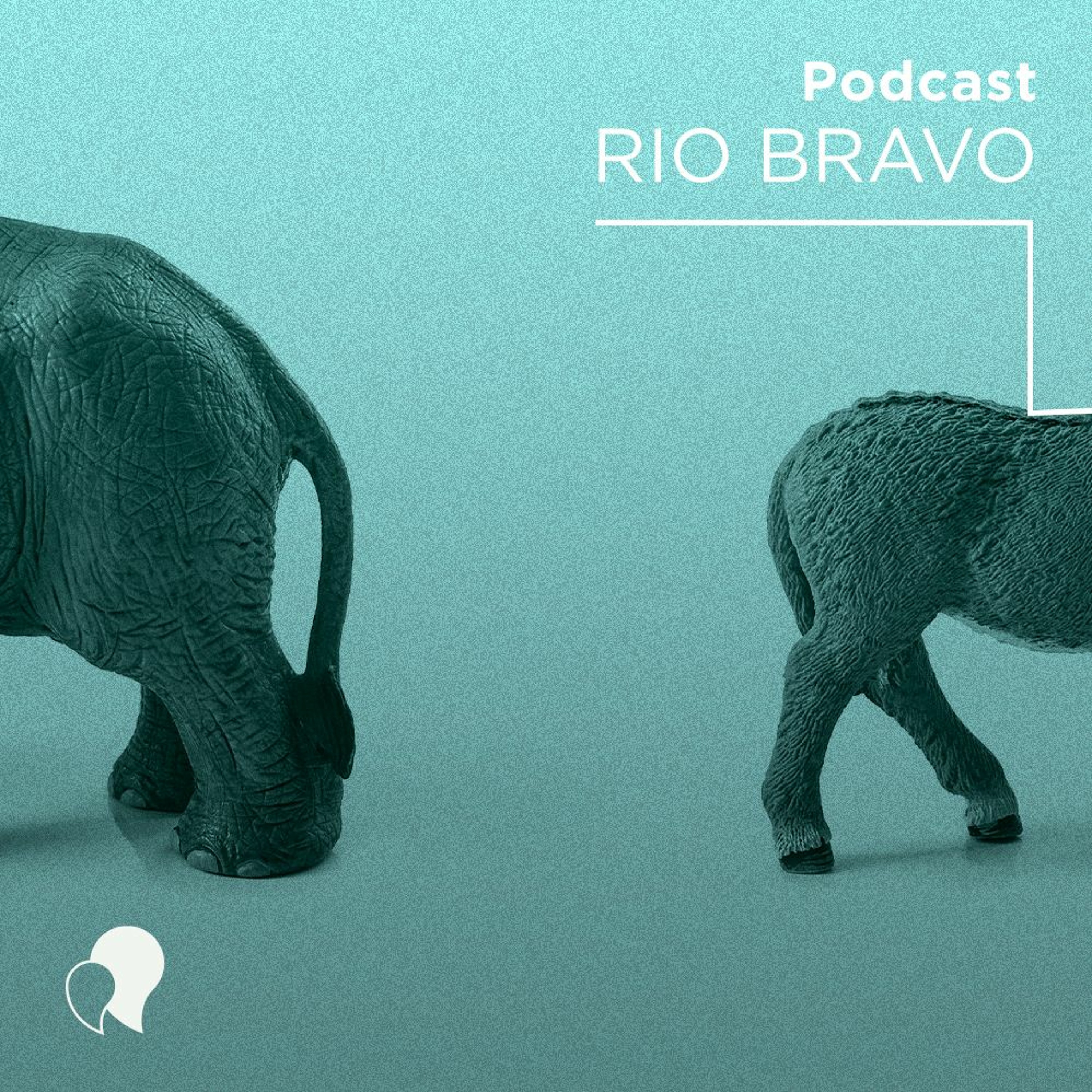 Podcast 610 – Denilde Holzhacker: Para entender a disputa eleitoral norte-americana em 2020 episode artwork