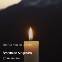 brasita-de-alegría-hs 2.