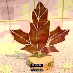 Lyrxx2nation ft 3hreex5ive-Tonight