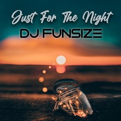 Just for the Night