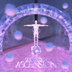nikko - TERRA (COLLECTION: ASCENSION out September 15th!)