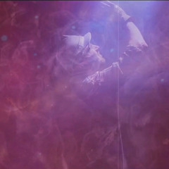 Wild Conscience  (Visceral)