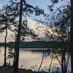 Bossa Talk (ft Michael Barnard & Michaell Womack)