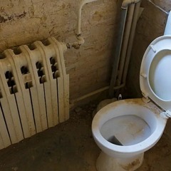 TOILET FOREVER