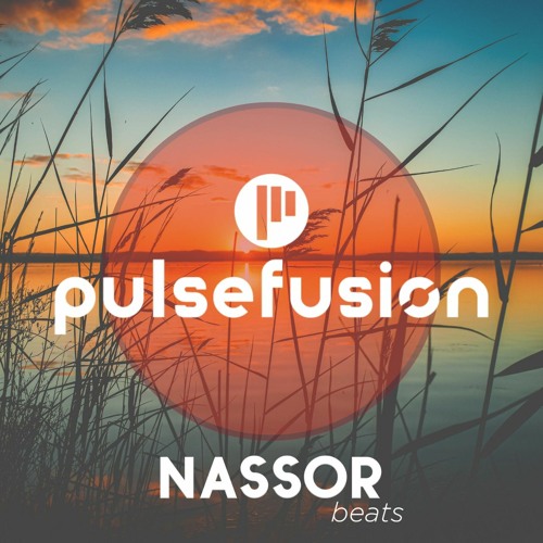 PULSE FUSION - SET NASSOR BEATS - HEY BITCH SOCIAL CLUB 29-09-23.