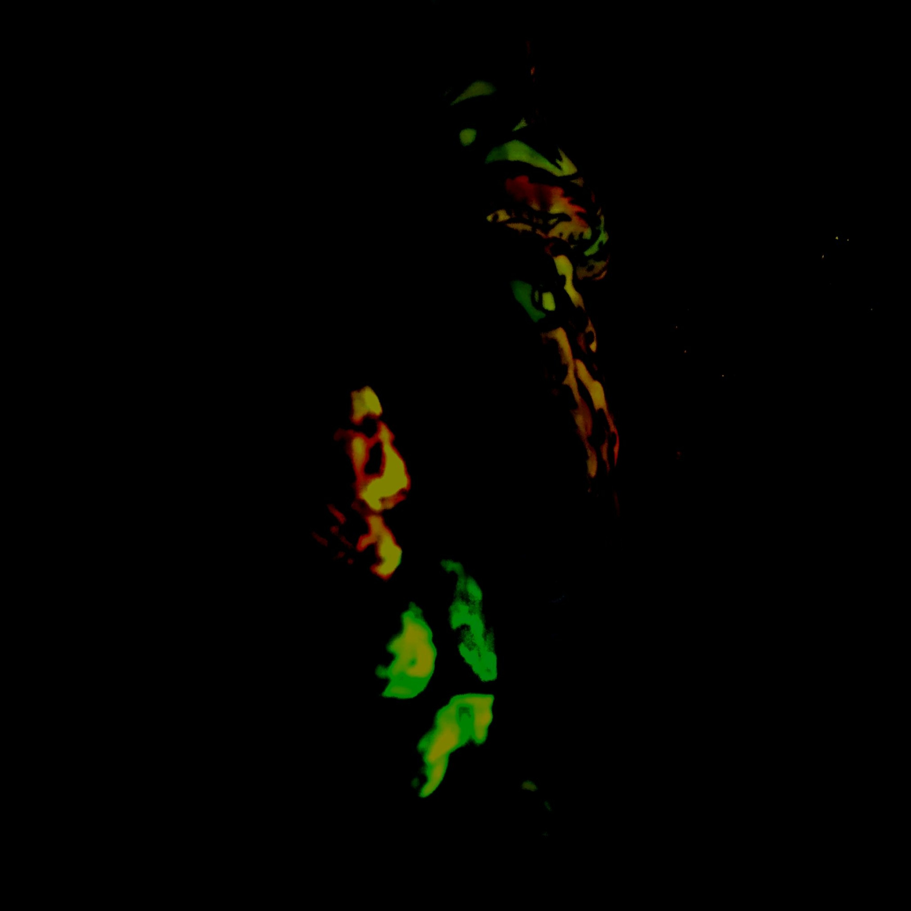 MOORQIIZ MADWOLF