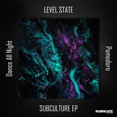Level State - Dance All Night [Rubricate Records]