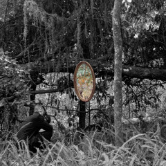 LIFE SINCE APRIL (prod. C$UPREME)