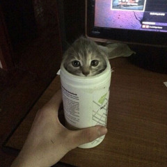 Ektomorf - What Doesn't Kill Me