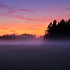 August Mist - Ecstatic Dance Set