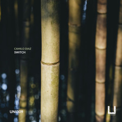 Camilo Diaz - Switch (Original mix) [UNITY RECORDS]