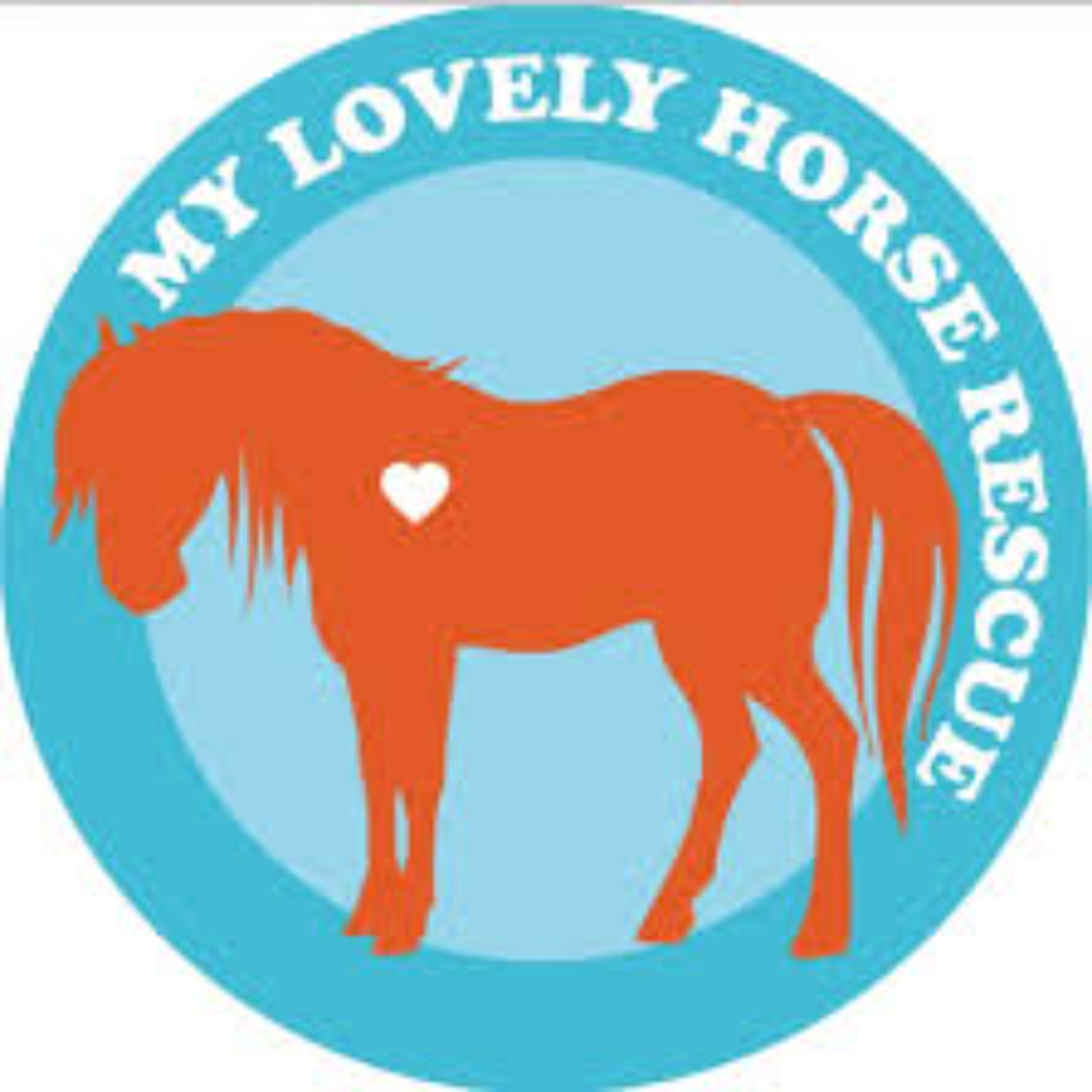 The KCLR Daily: My Lovely Horse spokesperson reacts to last night's scenes in Dublin (22nd Oct 2025)