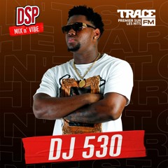 DSP MIX n' VIBE x Dj 530 - Session 2.0