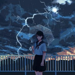 No Plans