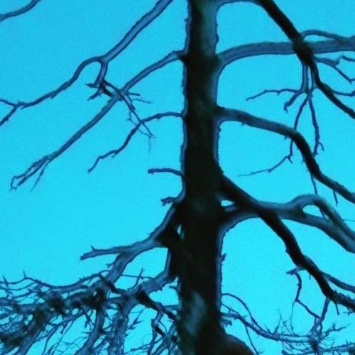 once in a blue moon (synth only)