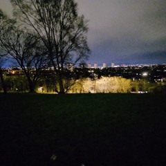 Meadow Night Scape