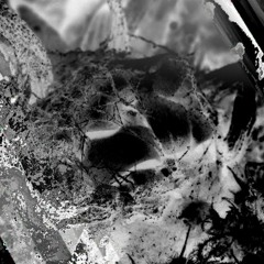 Mike Oldfield - Hibernaculum (Cover)