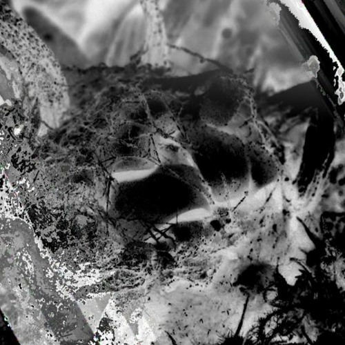 Mike Oldfield - Hibernaculum (Cover)