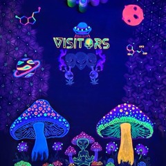vISITORS - oRGANIC pATH
